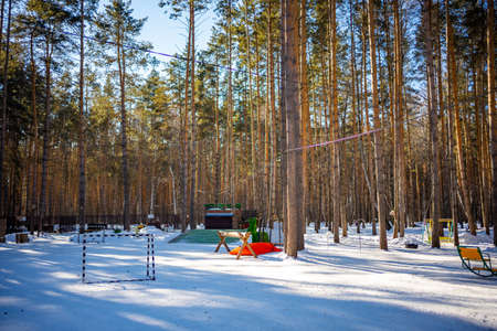 Kemerovo, Russia - March 12, 2022: Private dog farm Haskiland near Kemerovo, Russiaのeditorial素材