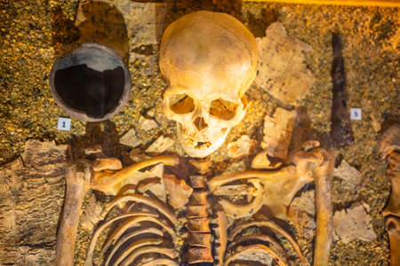 Kemerovo, Russia - April 16, 2022: Skeletons in open-air museum Tomsk pisanitsa located north-west of Kemerovo on the right bank of the Tom River in Western Siberia, Russia.のeditorial素材