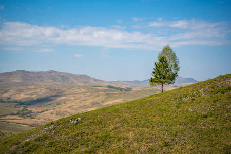 View with mountains and valley from top of the rock - damn finger - in the mountainous Altai, Russiaの写真素材