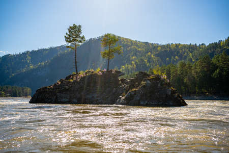 Rock that looks like a bear on an island in the middle of Katun river in Altai