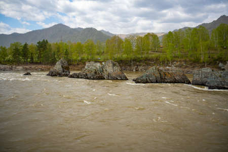 Remarkable natural objects - dragon teeth - in Katun river of Altai mountains with beautiful taiga...