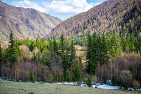 Scenic view from mountain pass to forest valley among mountain ranges and hills on horizon at changeable weather in spring time in Altai, Russiaの写真素材