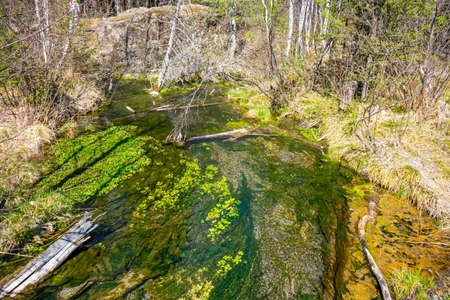 Beautiful turquoise creek from geyser lake in the forests of Altai in Siberia, view from the shore