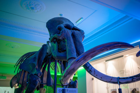 Kemerovo, Russia - May 3, 2022: Archeological exhibition in Kuzbass State Museum of Local Lore in Kemerovo, Siberia, Russiaのeditorial素材