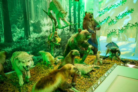 Kemerovo, Russia - May 3, 2022: Archeological exhibition in Kuzbass State Museum of Local Lore in Kemerovo, Siberia, Russiaのeditorial素材