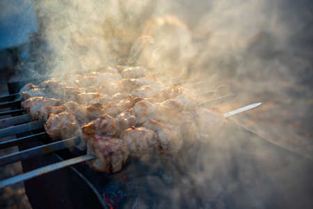 Close-up of grilling tasty dish on barbecue. Process of cooking yummy shashlik in nature. Delicious food on metal skewer in bbq. Time to picnic concept.の写真素材