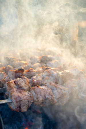 Close-up of grilling tasty dish on barbecue. Process of cooking yummy shashlik in nature. Delicious...