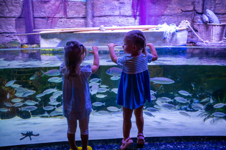 Antalya, Turkey - September 26, 2022: People enjoy the underwater view of the aquarium with longest in the world panoramic tunnel, Antalya, Turkey.のeditorial素材