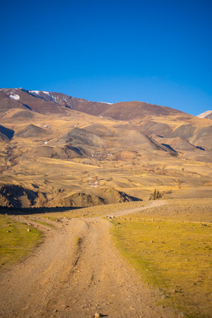 Road in Kyzyl-Chin valley or Mars valley with mountain background in Altai, Siberia, Russia. High...