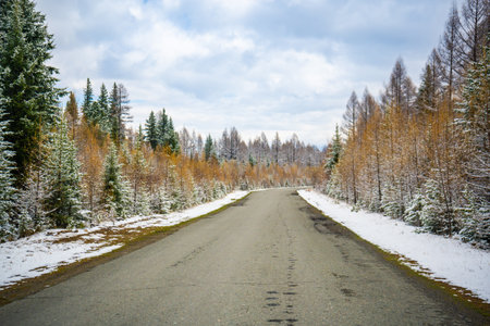 Scenic early spring view with snowy dirt road through the pass, green larch trees, snow and forest on the slopes against the backdrop of snowy mountains, blue sky and clouds, Altai in Russia.の写真素材