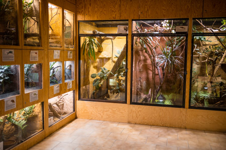 Zajezd, Czech republic - December 26, 2022: Terrarium of Zajezd Zoo located near Prague without people in winter time, Czech republic. High quality photoのeditorial素材