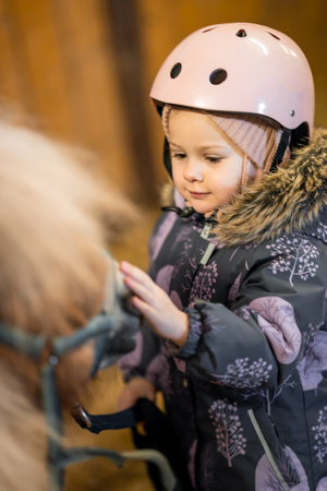 Portrait of little girl in protective jacket and helmet with her brown pony before riding Lesson. High quality photoの写真素材