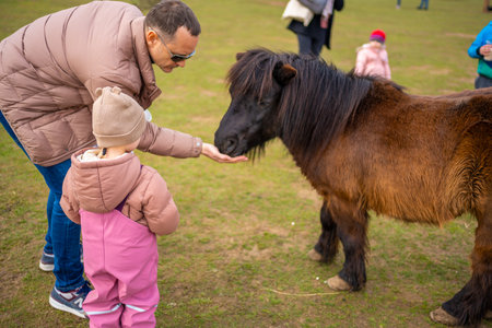 Zelcin, Czech Republic - March 19, 2023: People feeding animals in contact zoo with domestic animals and people in Zelcin, Czech republic. High quality photoのeditorial素材