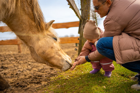 People feeding animals in contact zoo with domestic animals and people in Zelcin, Czech republic. High quality photoの写真素材