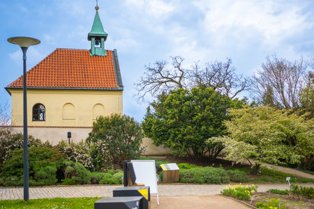 Territory of botanic dendrology garden in spring time in Prague, Czech republic. High quality photoの写真素材
