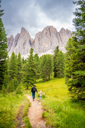 Tourists walking in alpine forest on summer day. Hikers traveler hikking with beautiful forest landscape, Dolomites, Italy. high quality photoの写真素材