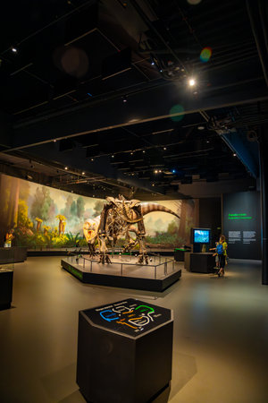 Prague, Czech Republic - August 23, 2023: Dinosaur skeletons and models in Dinosaur Museum in Prague. High quality photoのeditorial素材