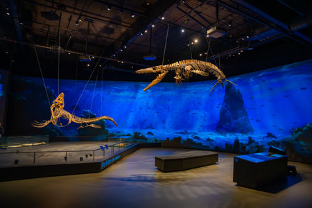 Prague, Czech Republic - August 23, 2023: Dinosaur skeletons and models in Dinosaur Museum in Prague. High quality photo