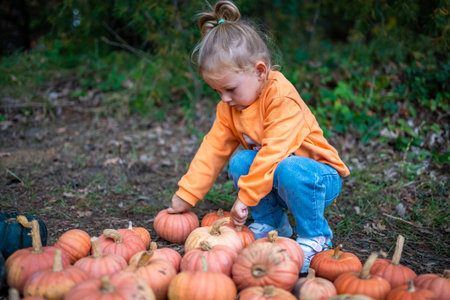 Cute little girl having fun with huge pumpkins on a pumpkin patch. Kid picking pumpkins at country farm on warm autumn day in Prague. Family time at Thanksgiving and Halloween. High quality photoの写真素材