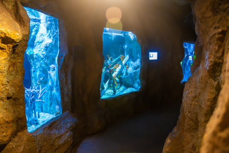 Pattaya, Thailand - December 26, 2023: Interior with aquariums of the Underwater World in Pattaya, Thailand. High quality photoのeditorial素材