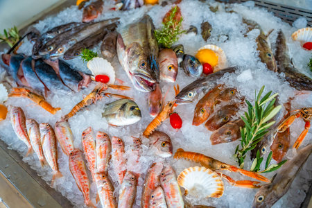 Different fresh sea food for a choice on ice in market or restaurant in small town of Montenegro. Seafood of adriatic sea. High quality photoの写真素材
