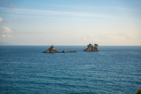 High quality photoの写真素材