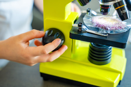 Close up view of hands of little girl preparing a sample for microscope examination. Concept of hands-on science learning and curiosity-driven exploration. High quality photoの写真素材