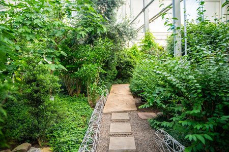Greenhouse of botanical garden in Kemerovo, rare plants from various climate zones. Ecotourism, sustainable exploration, global plant heritage preservation.の写真素材
