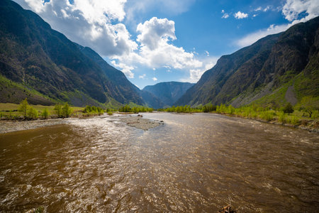Chulyshman river flowing near Kyrsai bay at southern end of Teletskoye lake in Altai Russia Mountain watercourse in remote natural valley. High quality photoの写真素材