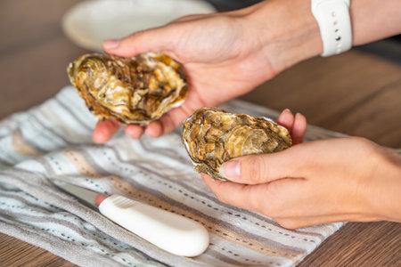 Two oysters held in hands above a kitchen towel with an oyster knife. Scene before opening shellfish at home.の写真素材