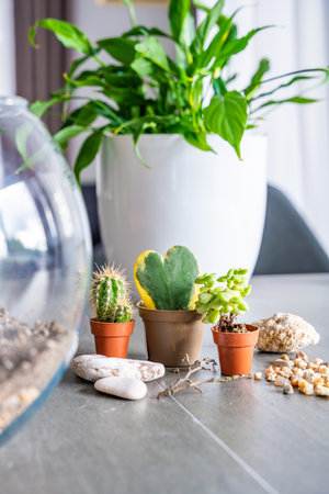 Close up view of natural materials and decorative elements prepared for creating a closed florarium or glass ecosystem. Concept of DIY plant design, eco-conscious living and creative home projects.の写真素材