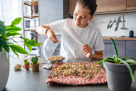 Young woman pouring stones into a glass container while preparing a terrarium. Concept of mindful crafting, eco-friendly lifestyle and home plant design. High quality photoの写真素材