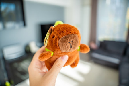 Plush capybara toy held in the hand of a teenager. Capturing a viral Gen Z trend and emotional connection with cute collectible animals. High quality photoの写真素材
