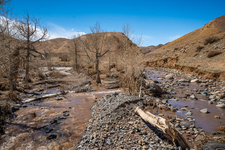 Mountain stream at the foot of the Red Mountains Altai Russia. Natural watercourse in a unique...
