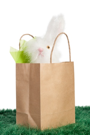 Cute white Easter bunny inside a brown paper bag on green grassの写真素材