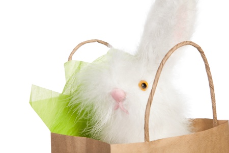 Fluffy white toy Easter bunny poking its nose out of a brown paper carrier gift bag isolated on whiteの写真素材