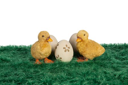 Little yellow Easter ducklings standing on green grass with handpainted Easter eggs and copyspace for your Easter greetings on a white backgroundの写真素材