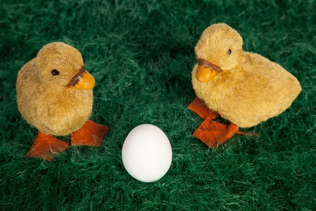 High angle view of two cute fluffy toy Easter ducklings with webbed orange feet standing on green grass flanking an undecorated Easter eggの写真素材