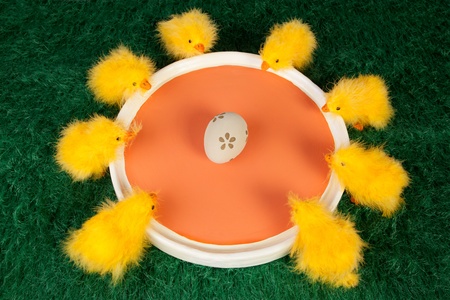 Vibrant fun Easter greeting card with a group of colourful yellow fluffy Easter chicks surrounding an orange dish looking in curiosity at one decorated Easter egg in the centreの写真素材