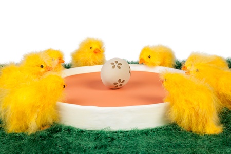 Portrait of Easter chicks miniature and decorated egg at the centerの写真素材