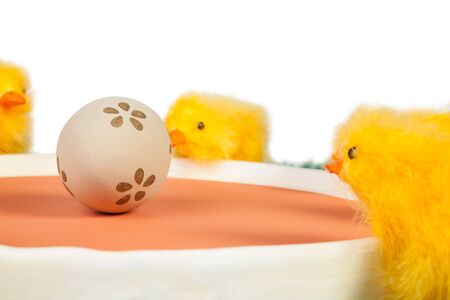 Decorated egg and Easter chicks in a close up shotの写真素材