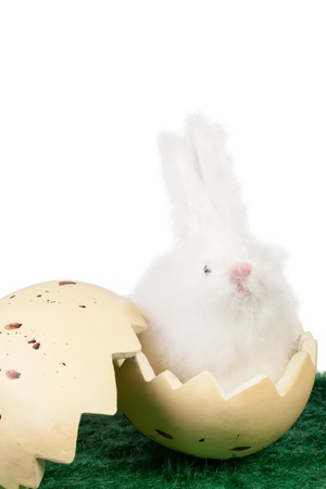 Cute fluffy white toy Easter bunny sitting in a halved cracked eggshell on green grass against a white background with copyspace for you Easter greetingの写真素材