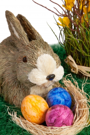 Cute little furry brown and white toy Easter Bunny with colourful handpainted marbled Easter Eggs in a bed of straw during the traditional Easter Egg Huntの写真素材