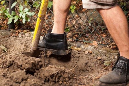 A man is preparing the ground for some new flowers の写真素材