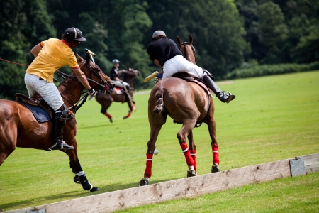 Two Polo Player are braking to get the best position to hit the ball.のeditorial素材