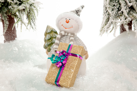The Snowman is waiting for somebody to pick up the Christmas Present の写真素材