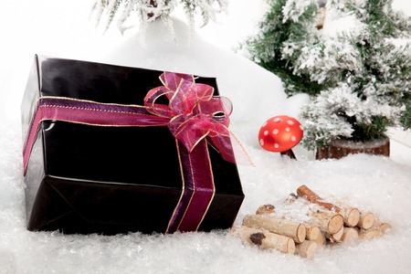 A big black Christmas Present in a nice snow covered winter Scene の写真素材