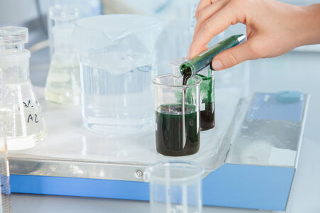 A Professor is decanting some alga into a beaker の写真素材