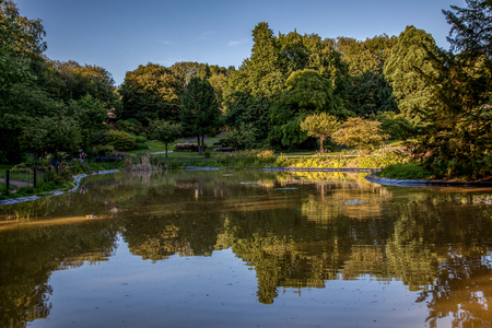 A small lake with some reflections from the trees within a integral nature reserve with a blue sky.の写真素材