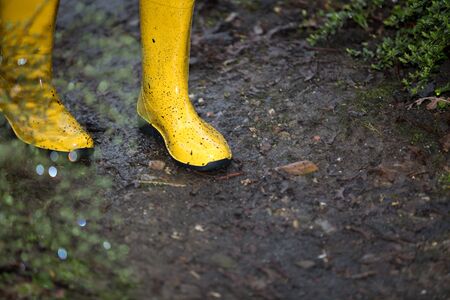 A pair of yellow boots in a muddy puddle during a rainy day.の写真素材
